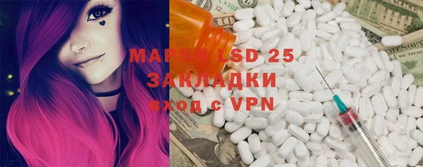 прущие грибы Алексеевка