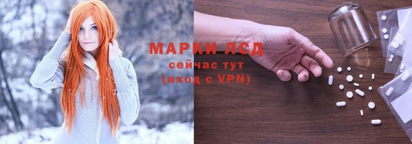 прущие грибы Алексеевка