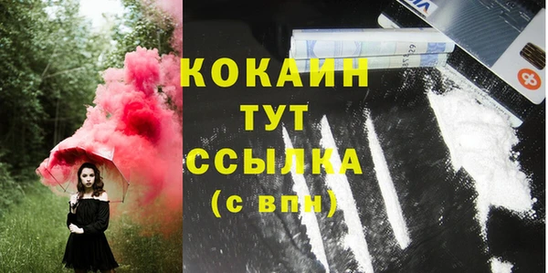 прущие грибы Алексеевка
