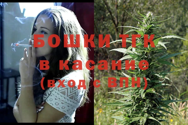 прущие грибы Алексеевка