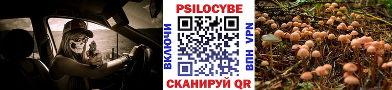 Галлюциногенные грибы мицелий где купить наркоту мориарти как зайти Чебаркуль